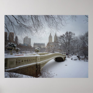 Poster Pont d'arc en hiver, Central Park, NYC, toutes les
