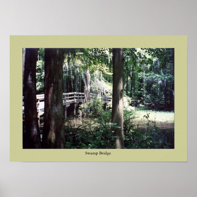Poster Pont des marais (Devant)