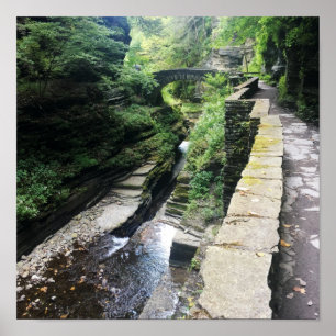 Poster pont du parc national robert h. treman