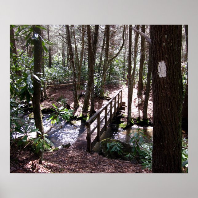 Poster Pont du sentier Appalachian à Laurel Fork Tennesse (Devant)