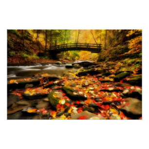 Poster Pont en bois et crique dans l'automne