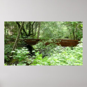 Poster Pont Muir Woods I