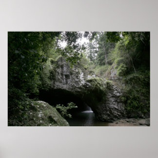 Poster Pont naturel