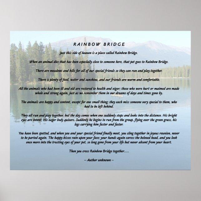 Poster Pont Rainbow 2 (Devant)