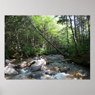 Poster Pont sur la rivière Pemigewasset au New Hampshire