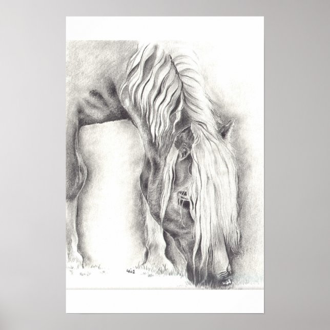 Poster Pony (Devant)