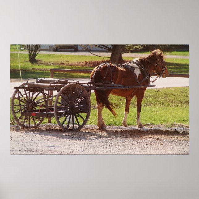 Poster Pony Cart (Devant)