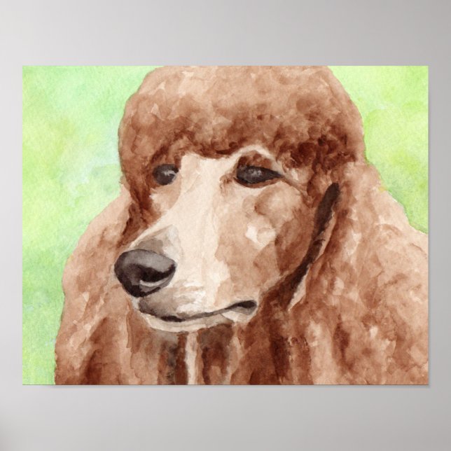 Poster Poodle à l'aquarelle (Devant)