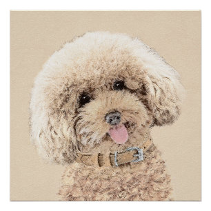 Poster Poodle (Jouet, Miniature) Peinture Chien Art origi
