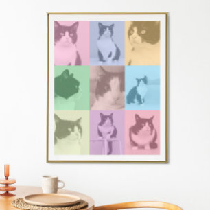 Poster Pop Art Cat 9 Photo Moderne Retro Color Block