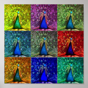 Poster pop art paon