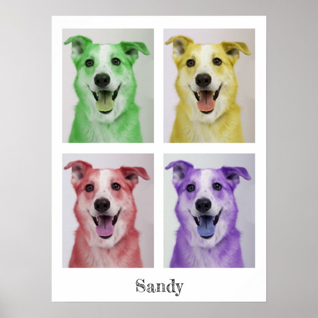Poster Pop Art Sandy (Devant)