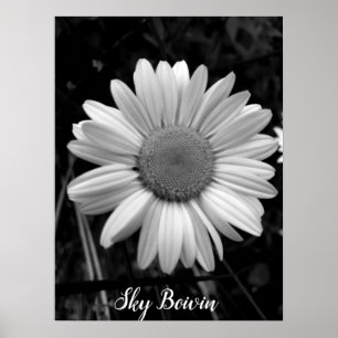 Poster pop marguerite