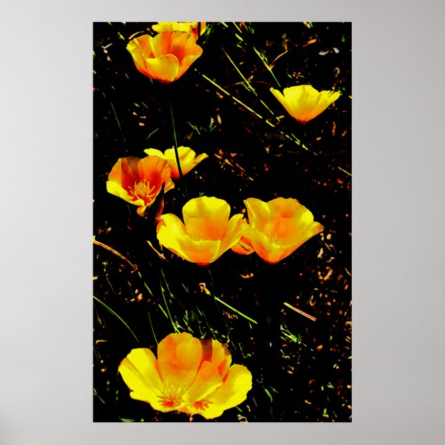 Poster Poppies (Devant)