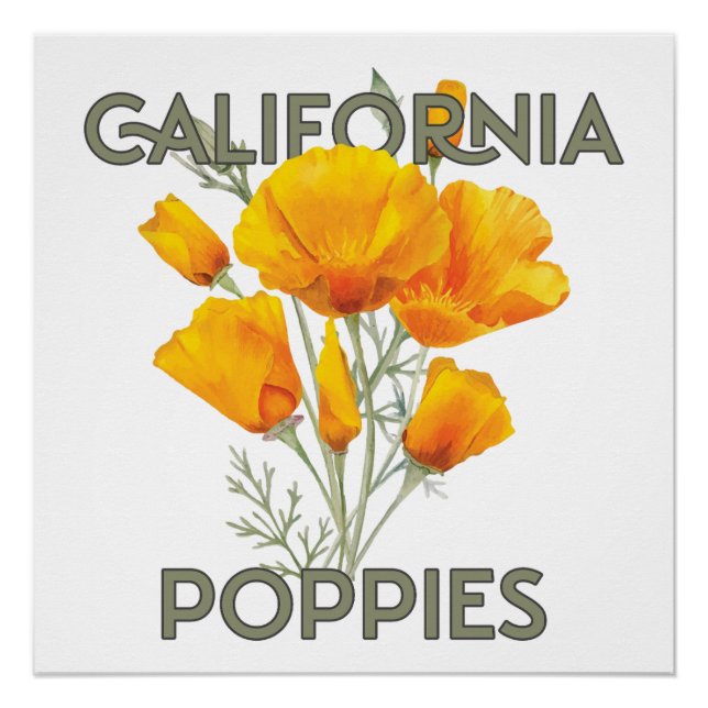 Poster Poppies de Californie (Devant)