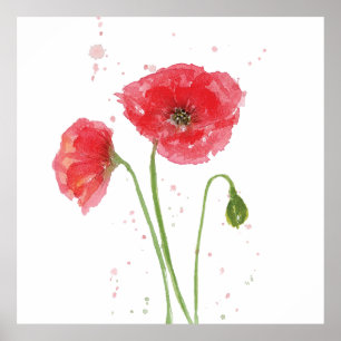 Poster Poppies de printemps