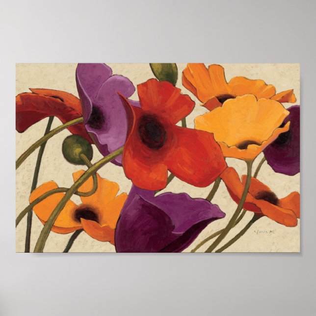 Poster Poppies de printemps (Devant)