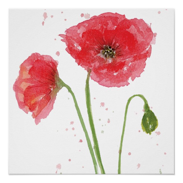Poster Poppies de printemps (Devant)