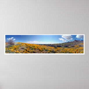 Poster Poppies d'or mexicaines - Franklin Mountains