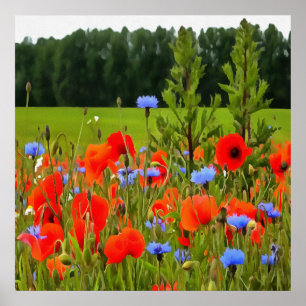 Poster Poppies Et Fleurs De Cornouailles Paysage Réaliste