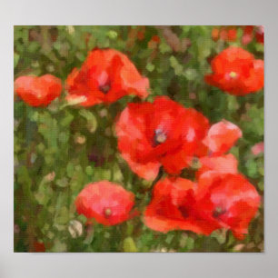 Poster Poppies rouges