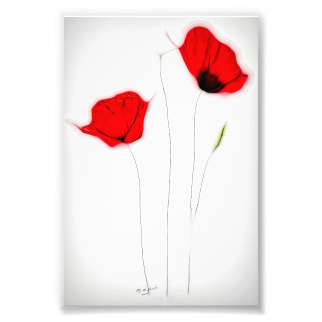 POSTER POPPY (Devant)