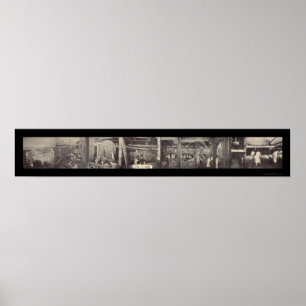 Poster Porc de porc traitant la photo 1900