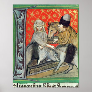 Poster Porcs et chevaux d'élevage