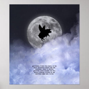 Poster Porcs volants néocturnes