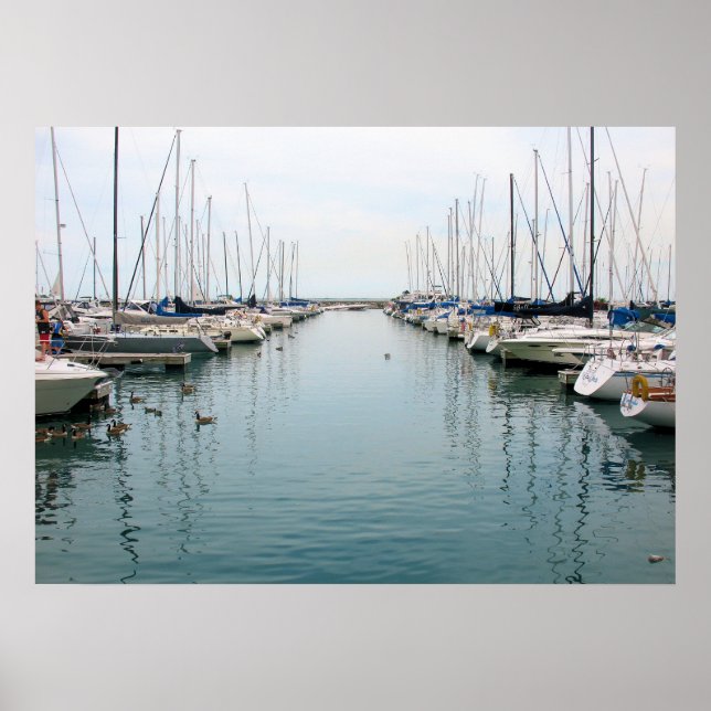 Poster Port de Chicago - Bateaux à voilier au repos (Devant)