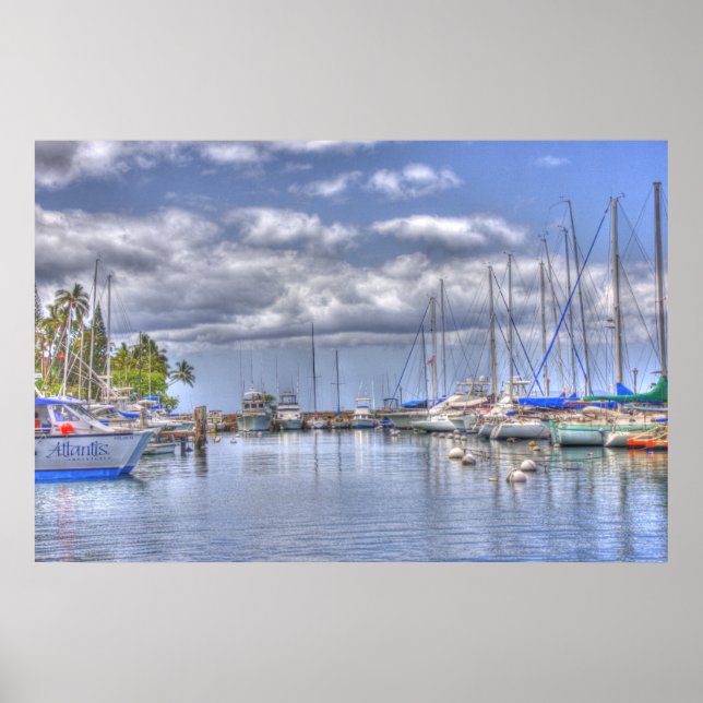 Poster Port Placid Maui (Devant)