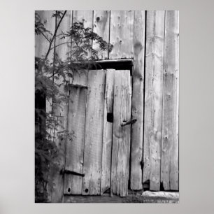 Poster Porte de grange avec arbre