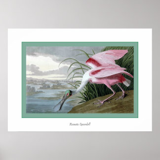 Poster Porte-feuille Roseate