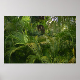 Poster Portée douce