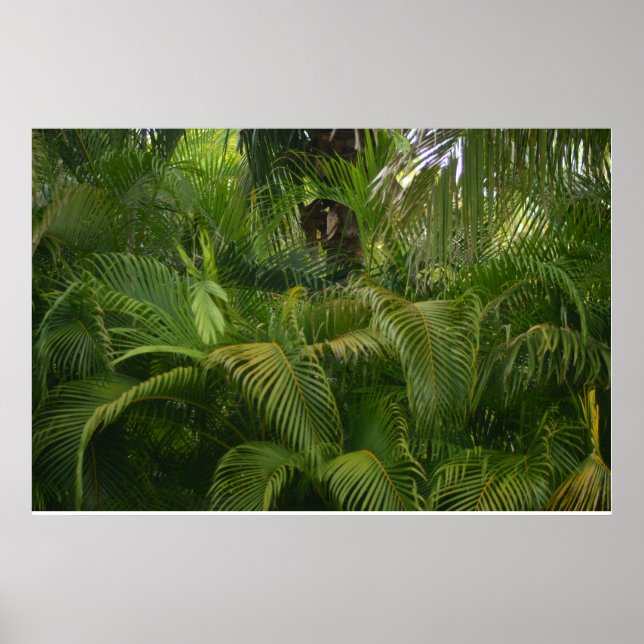 Poster Portée douce (Devant)