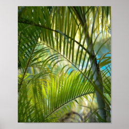 Poster Portée douce