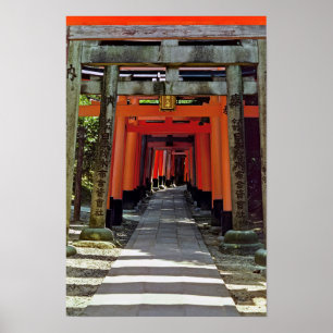 Poster Portes Torii - Kyoto, Japon, Asie