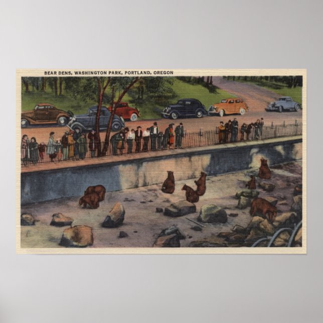 Poster Portland, ORBear Dens à Washington Park (Devant)