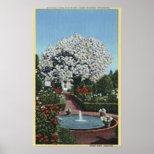 Poster Portland, Oregon - Espagnol Pool et arbre fantôme