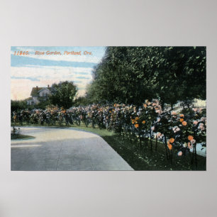 Poster Portland, OregonVue d'un jardin Rose