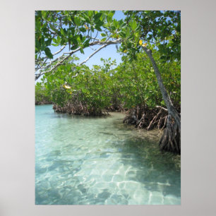 Poster Porto Rico Photo