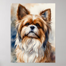 Portrait à l'aquarelle Pose Douce Chien Shih Tzu