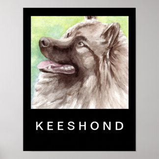 Poster Portrait aquarelle de Keeshond
