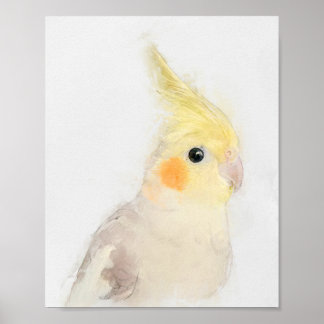 Poster Portrait Cockatiel