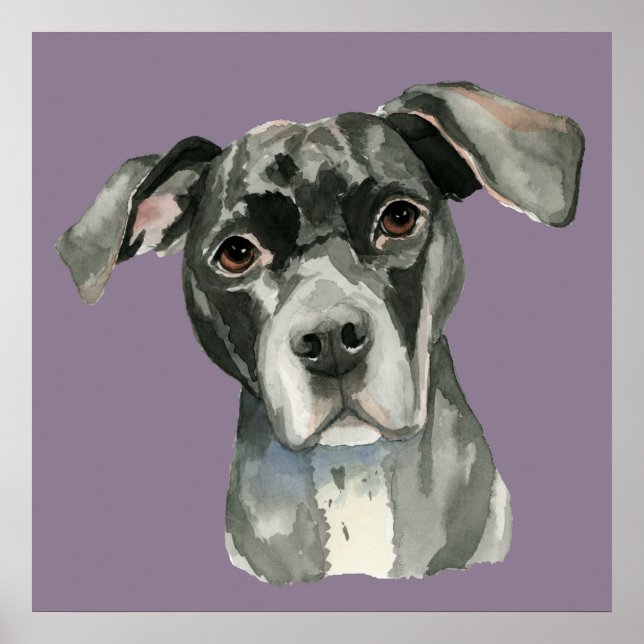 Poster Portrait d'aquarelle de chien mignon noir brun (Devant)