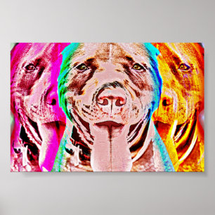 Poster Portrait d'art Pit Bull Pop
