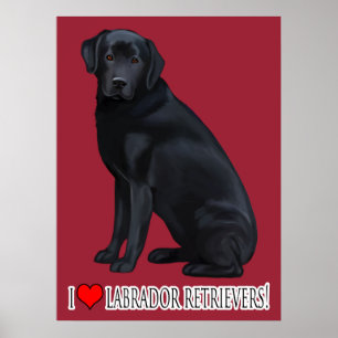 Poster Portrait de Black Labrador Retriever