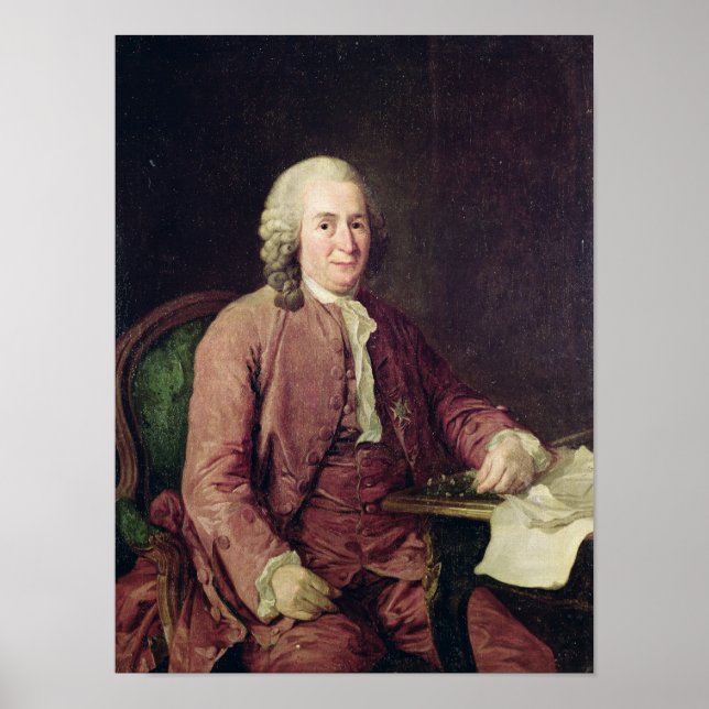 Poster Portrait de Carl von Linnaeus (Devant)