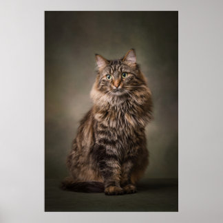 Poster Portrait de chat élégant en studio