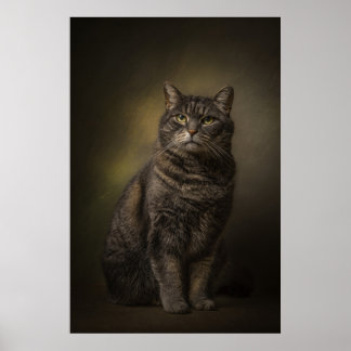 Poster Portrait de chat élégant en studio